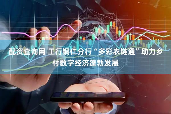 配资查询网 工行铜仁分行“多彩农链通”助力乡村数字经济蓬勃发展
