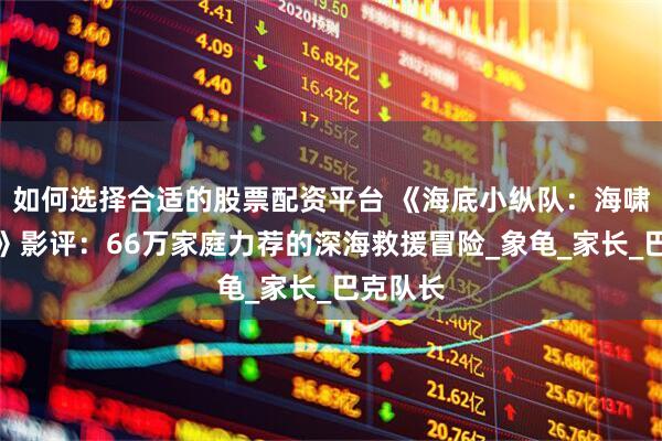 如何选择合适的股票配资平台 《海底小纵队：海啸大危机》影评：66万家庭力荐的深海救援冒险_象龟_家长_巴克队长