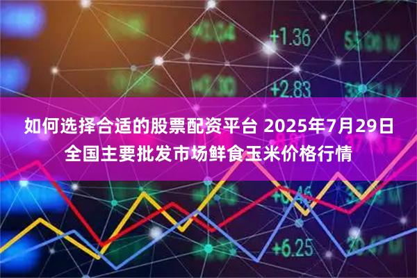 如何选择合适的股票配资平台 2025年7月29日全国主要批发市场鲜食玉米价格行情