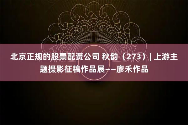 北京正规的股票配资公司 秋韵（273）| 上游主题摄影征稿作品展——廖禾作品