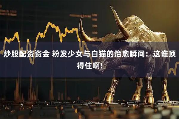 炒股配资资金 粉发少女与白猫的治愈瞬间:这谁顶得住啊!