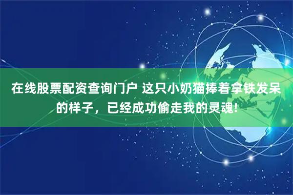 在线股票配资查询门户 这只小奶猫捧着拿铁发呆的样子，已经成功偷走我的灵魂!