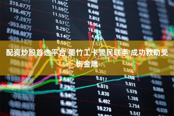配资炒股首选平台 墨竹工卡警民联手 成功救助受伤金雕